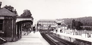 Mystery Photograph
