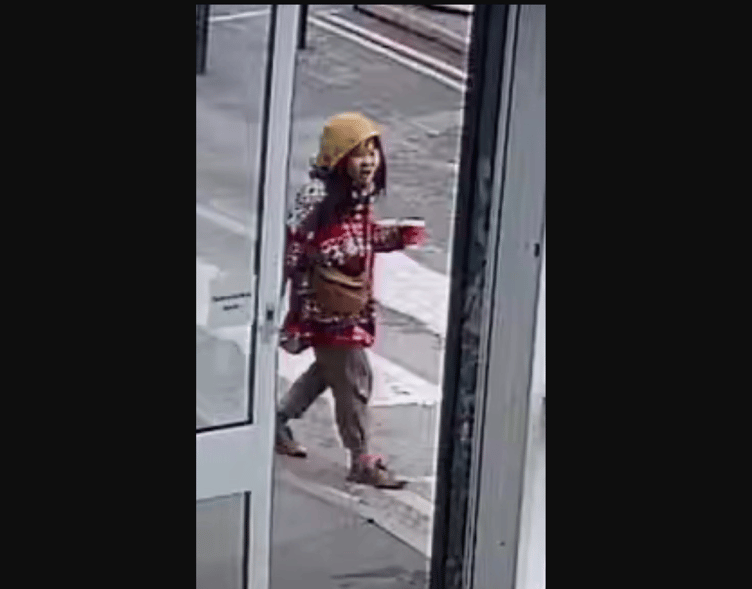 Glastonbury assault suspect