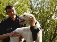 Bath Cats and Dogs Home thanks community for support