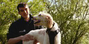 Bath Cats and Dogs Home thanks community for support