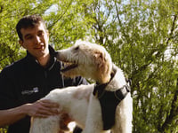 Bath Cats and Dogs Home thanks community for support