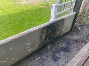 Football club avoids 'absolute carnage' after deliberate fire