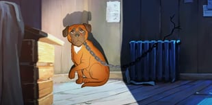 RSPCA animated film goes viral amid busiest period for animal cruelty