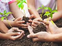 Somerset Wildlife Trust 2025 competition open