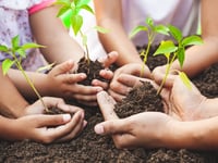 Somerset Wildlife Trust 2025 competition open