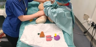 RUH's pop-up hospital gets toys on the road to recovery 
