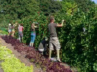 The Community Farm invites all to engage in farming and conservation