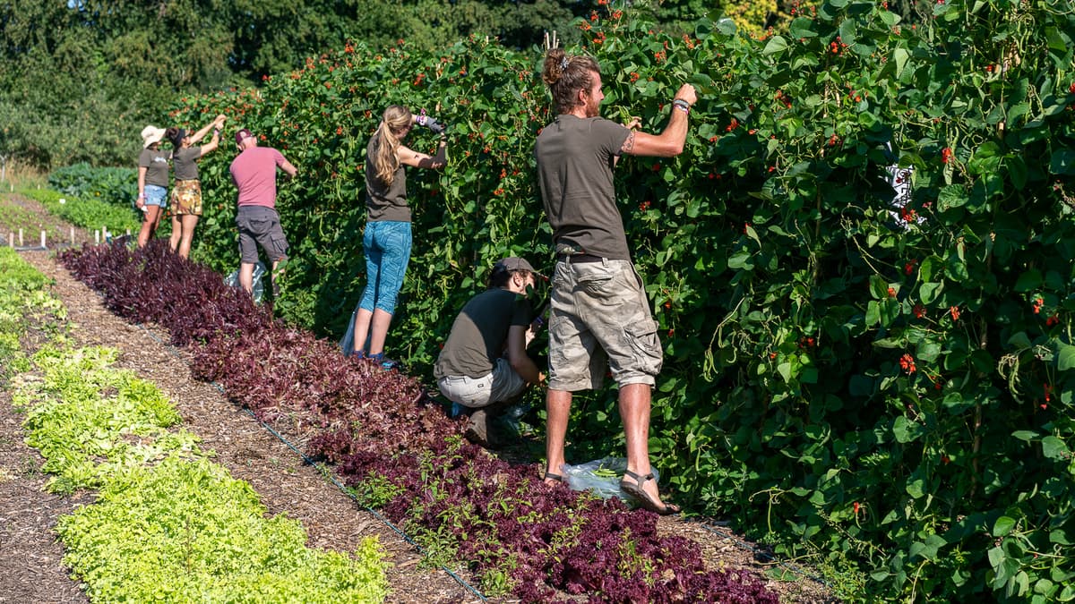 Community farm raises £50,000 in three weeks