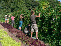 Community farm raises £50,000 in three weeks