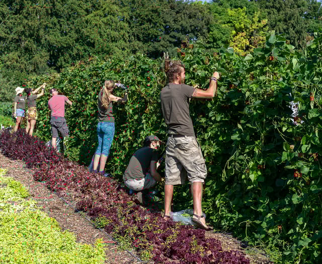 Community farm raises £50,000 in three weeks