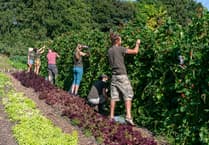 Community farm raises £50,000 in three weeks
