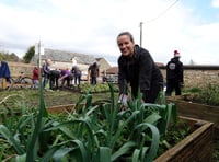 The Red Lion Community Garden seeks volunteers