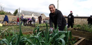 The Red Lion Community Garden seeks volunteers