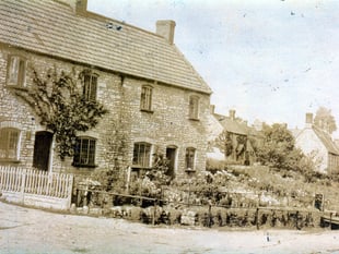 Mystery Photograph