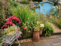Avon Wildlife Trust launch wildlife gardening competition
