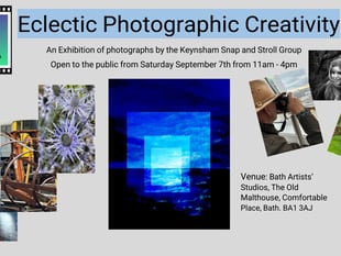 Keynsham Snap & Stroll display photos at exhibition