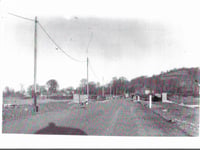 Mystery Photograph