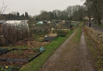 Council bid to buy Combe Down Allotments has been rejected