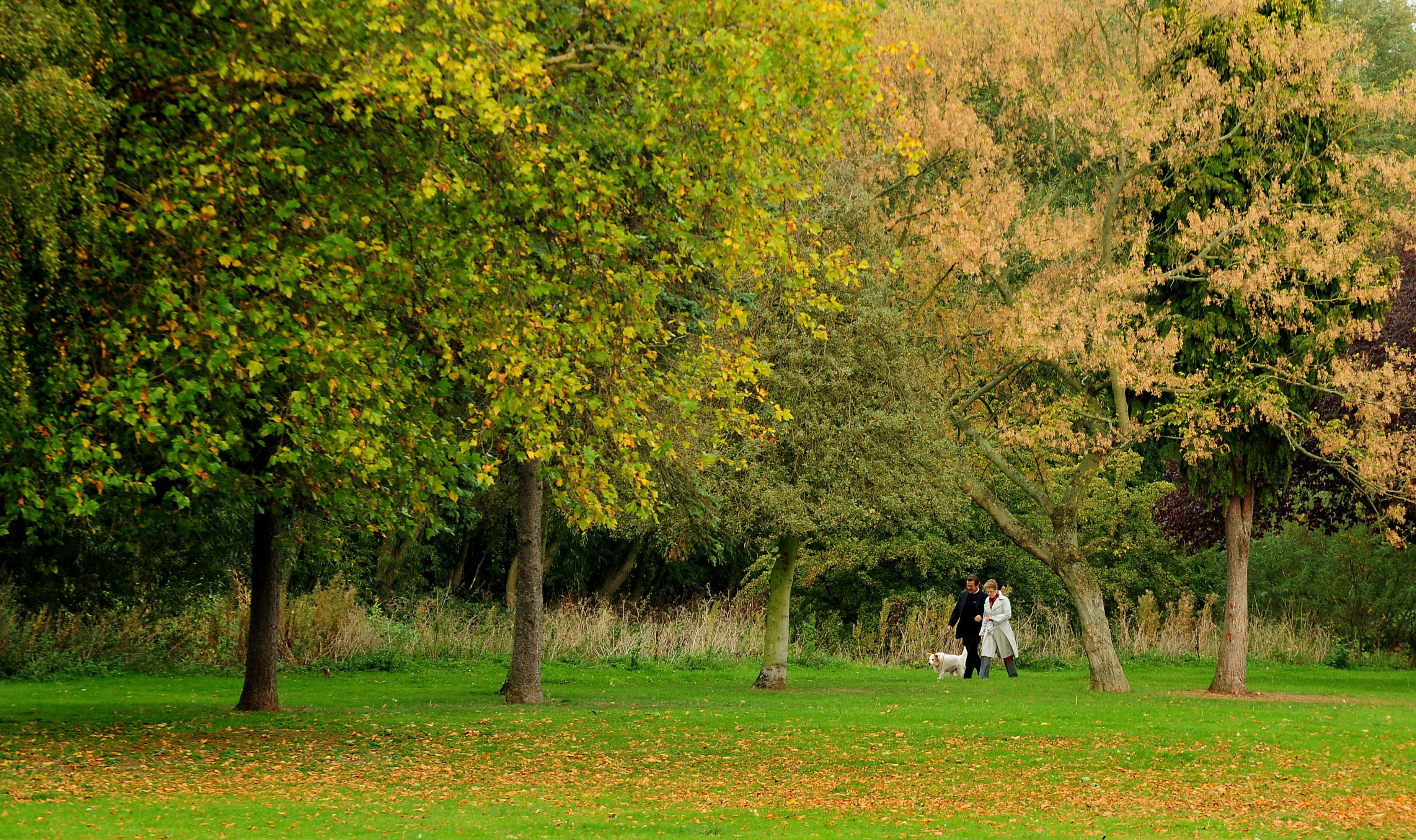 Access to green space in Mendip lower than South West average