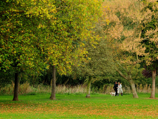 Access to green space in Bath and North East Somerset higher than South West average