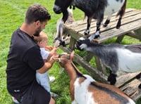 Autumn at Chew Valley Animal Park - CVG