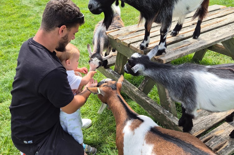 Preparations are under way for autumn at Chew Valley Animal Park