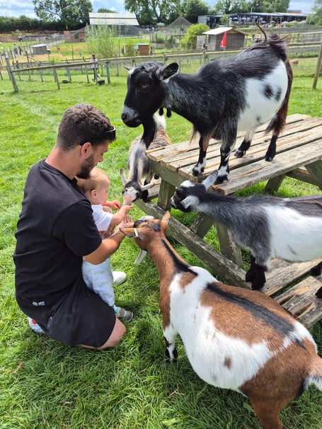 Preparations are under way for autumn at Chew Valley Animal Park