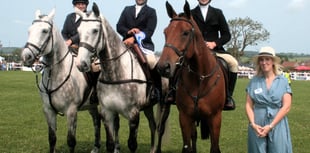 Mid Somerset show sees increase in participation and varied exhibits