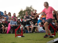 Frome dog owner wins at Kennel Club International Agility Festival