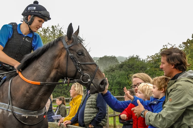 National Racehorse Week