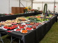 Sun shines on 135th Writhlington Flower Show and Fete