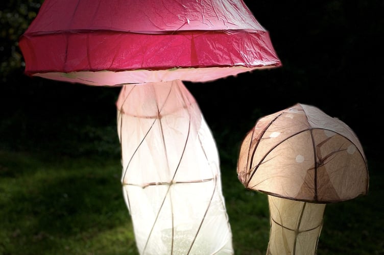 This year's theme for the Christmas Light Switch-On is Winter Woodland.
