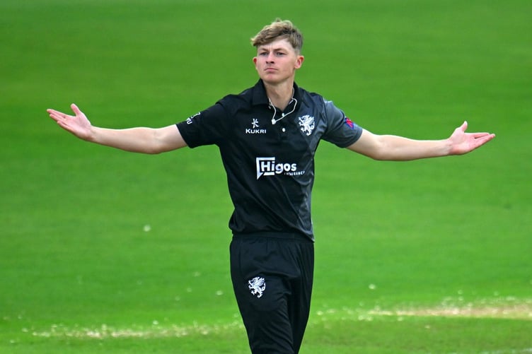 Somerset lose out in another final