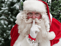 Garden centre recruiting Santas to work with children in Xmas grotto