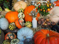 National Trust estates hosting 'spooky' Halloween events at half term