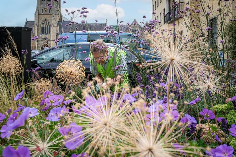 Bath In Bloom preparations, July 2024.
