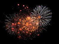 Residents encouraged to be a firework friendly neighbour for animals