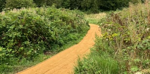Wellness buggy walks taking place in the Somer Valley