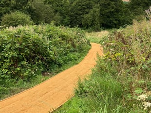 Wellness buggy walks taking place in the Somer Valley