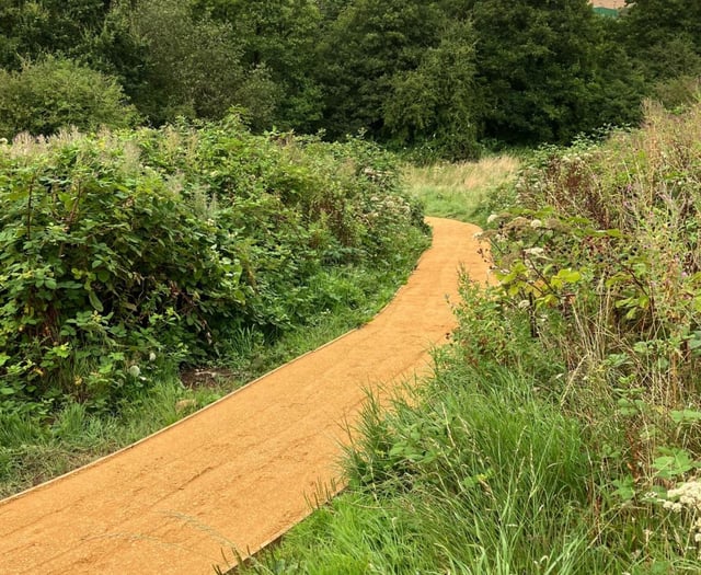 Wellness buggy walks taking place in the Somer Valley