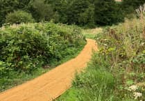 Wellness buggy walks taking place in the Somer Valley