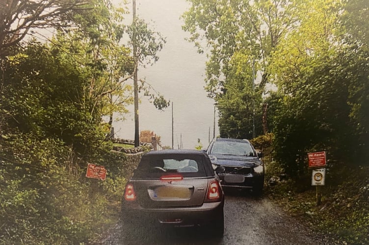 Locals warned Mead Lane in Sandford was already narrow (Image: Winscombe and Sanford Parish Council) 