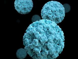 Surge in norovirus cases puts additional strain on NHS over Christmas