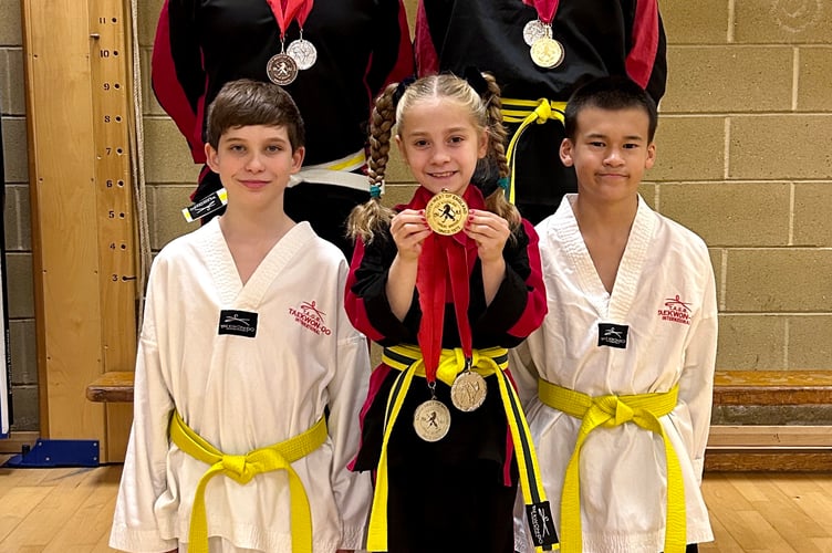 Midsomer Norton Tae Kwon-Do medal winners