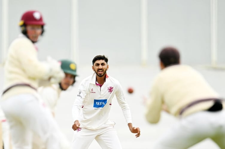 Somerset's young spinner Shoaib Bashir
