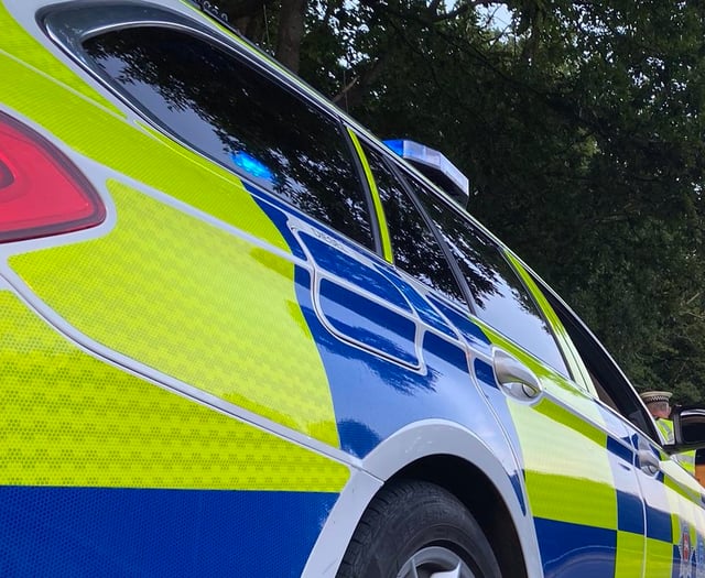 Probe after bottle with lit rag thrown at Somerset house