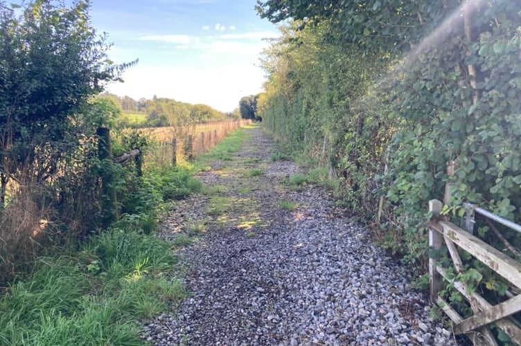 Phase Two Of The Frome\'s Missing Links In Great Elm