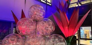 Illuminated flower display brightens up Bath hospital this Christmas