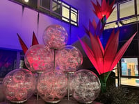 Illuminated flower display brightens up Bath hospital this Christmas