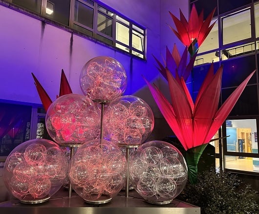 Illuminated flower display brightens up Bath hospital this Christmas